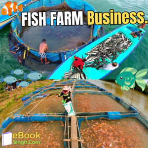 fish farming business