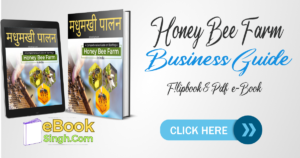 honey farming business